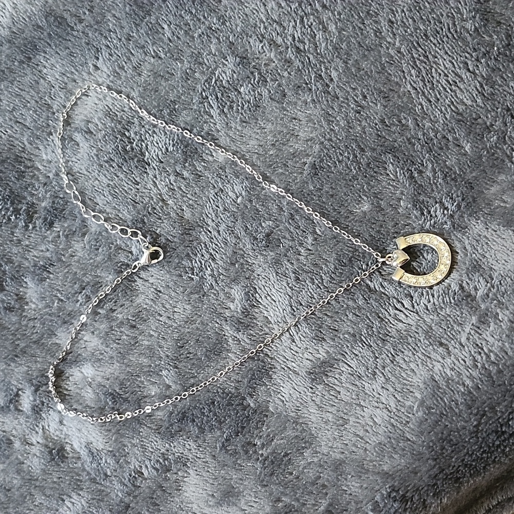 Horse shoe necklace